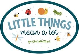 Little Things Mean a Lot van Echo Park