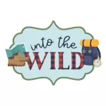 Into The Wild van Echo Park