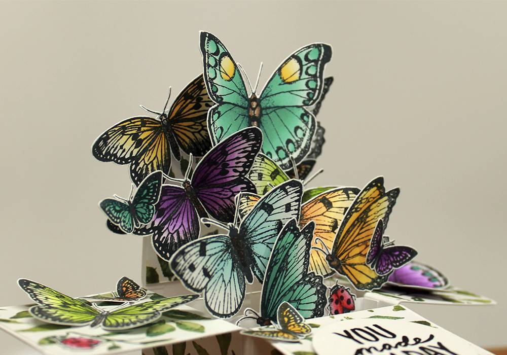 chameleon rotuladoras disponibles online en craftelier