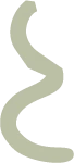 Espiral decorativa