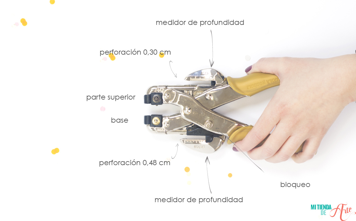 partes tutorial crop a dile cubos
